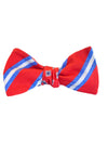 Stripe Bow Tie